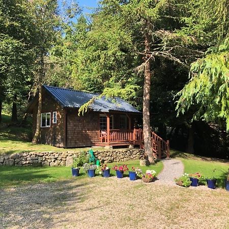 Willow Lodge Дублин Экстерьер фото