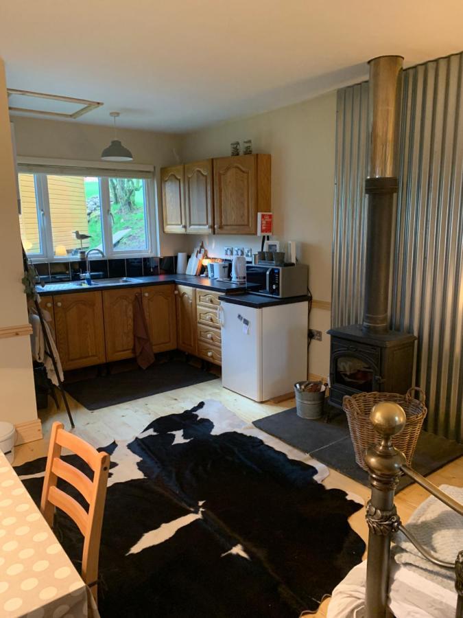 Willow Lodge Дублин Экстерьер фото