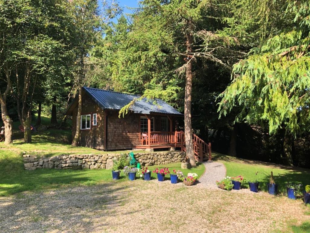 Willow Lodge Дублин Экстерьер фото