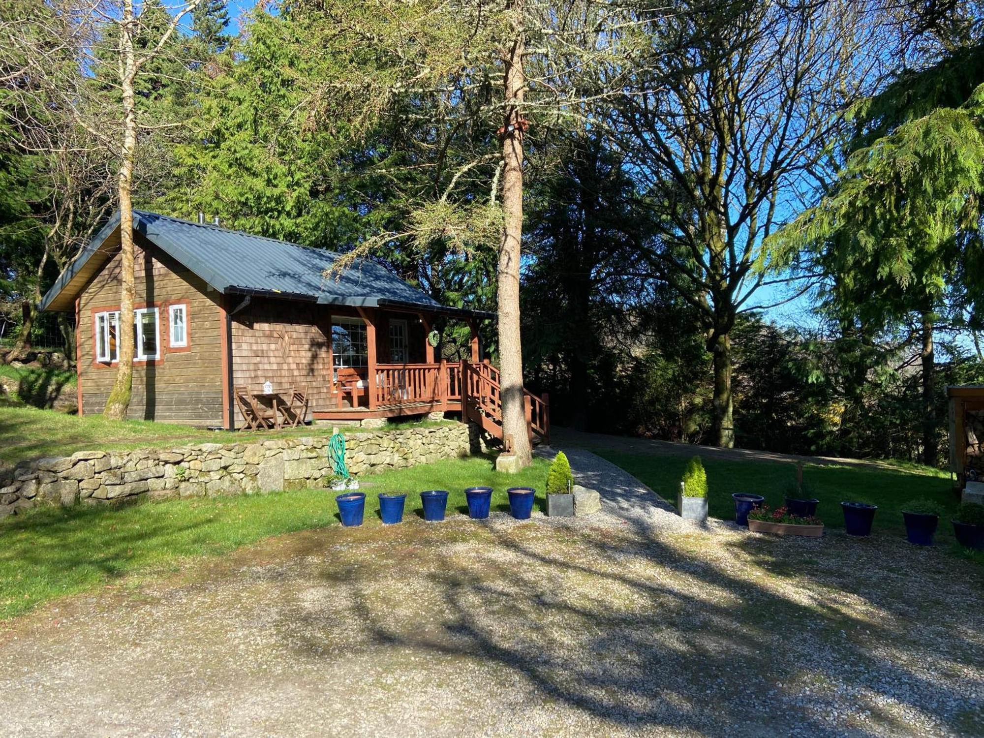 Willow Lodge Дублин Экстерьер фото
